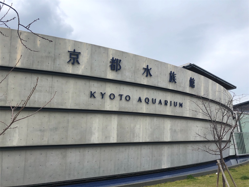 f:id:Euvicc:20190327090141j:image