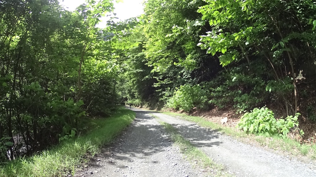 f:id:Euvicc:20190716164118j:image
