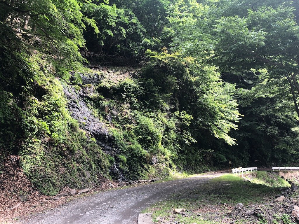 f:id:Euvicc:20190717012856j:image