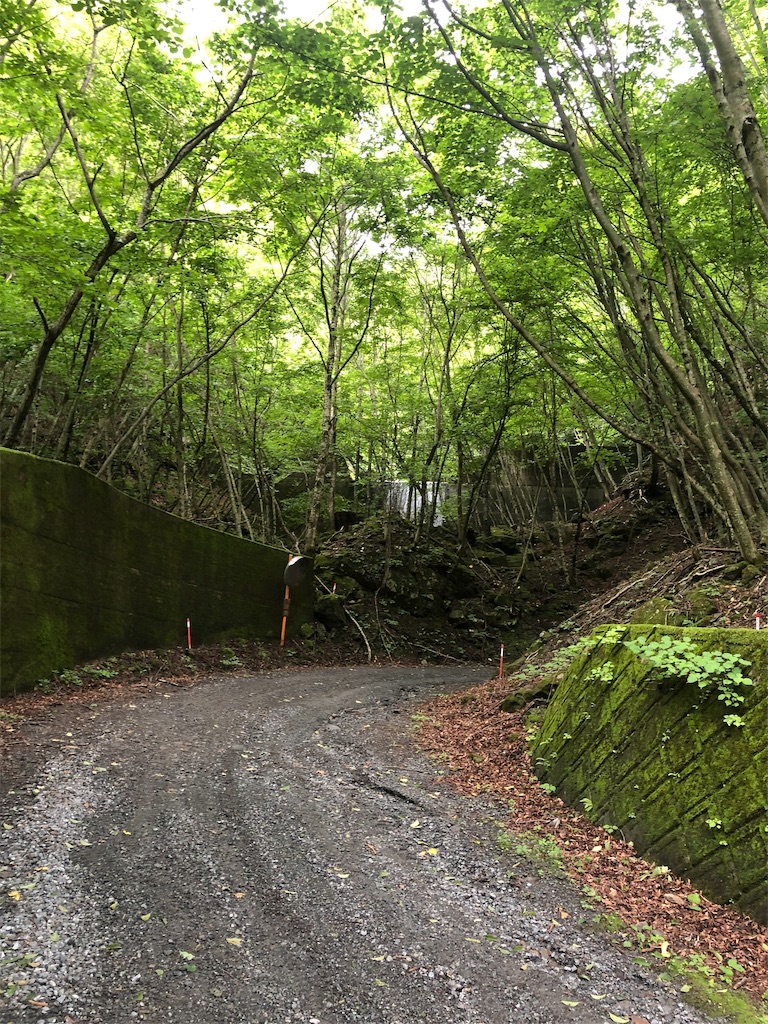 f:id:Euvicc:20190717015202j:image