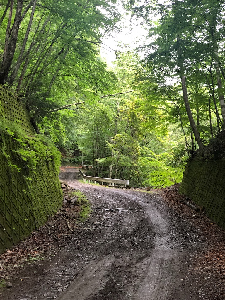f:id:Euvicc:20190717085052j:image