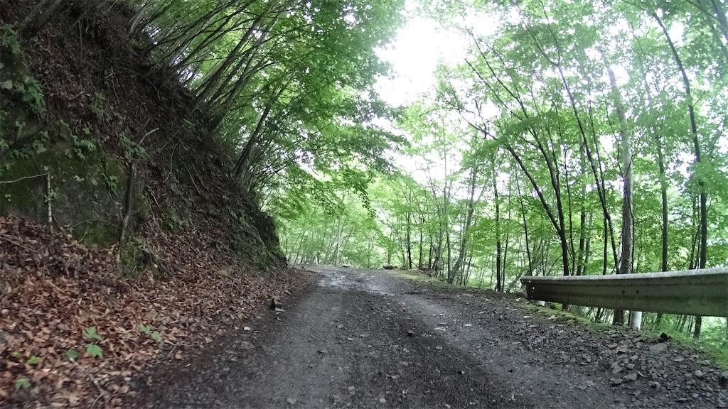 f:id:Euvicc:20190717110216j:image