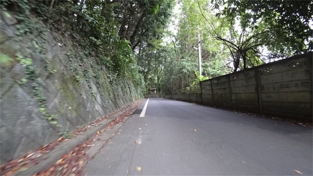 f:id:Euvicc:20190916202334j:image