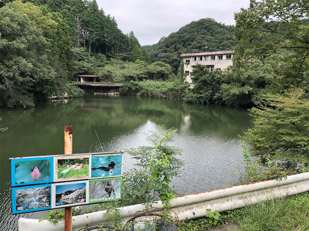 f:id:Euvicc:20190916204139j:image