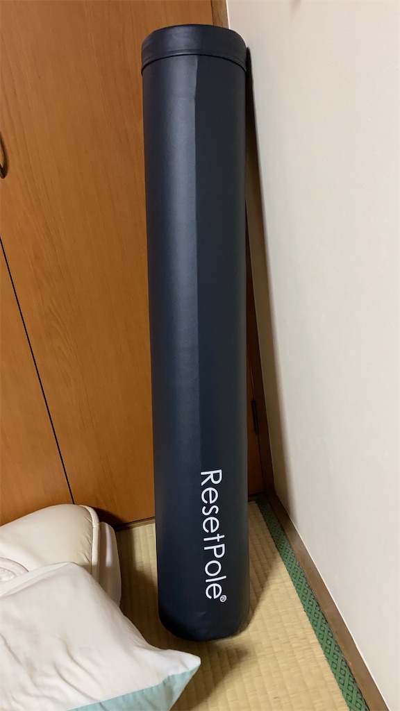 f:id:Euvicc:20200123192013j:image:w360