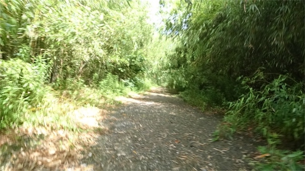 f:id:Euvicc:20200628072701j:plain f:id:Euvicc:20200628072701j:plain