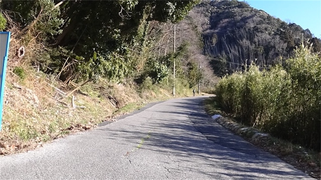 f:id:Euvicc:20210222082335j:plain