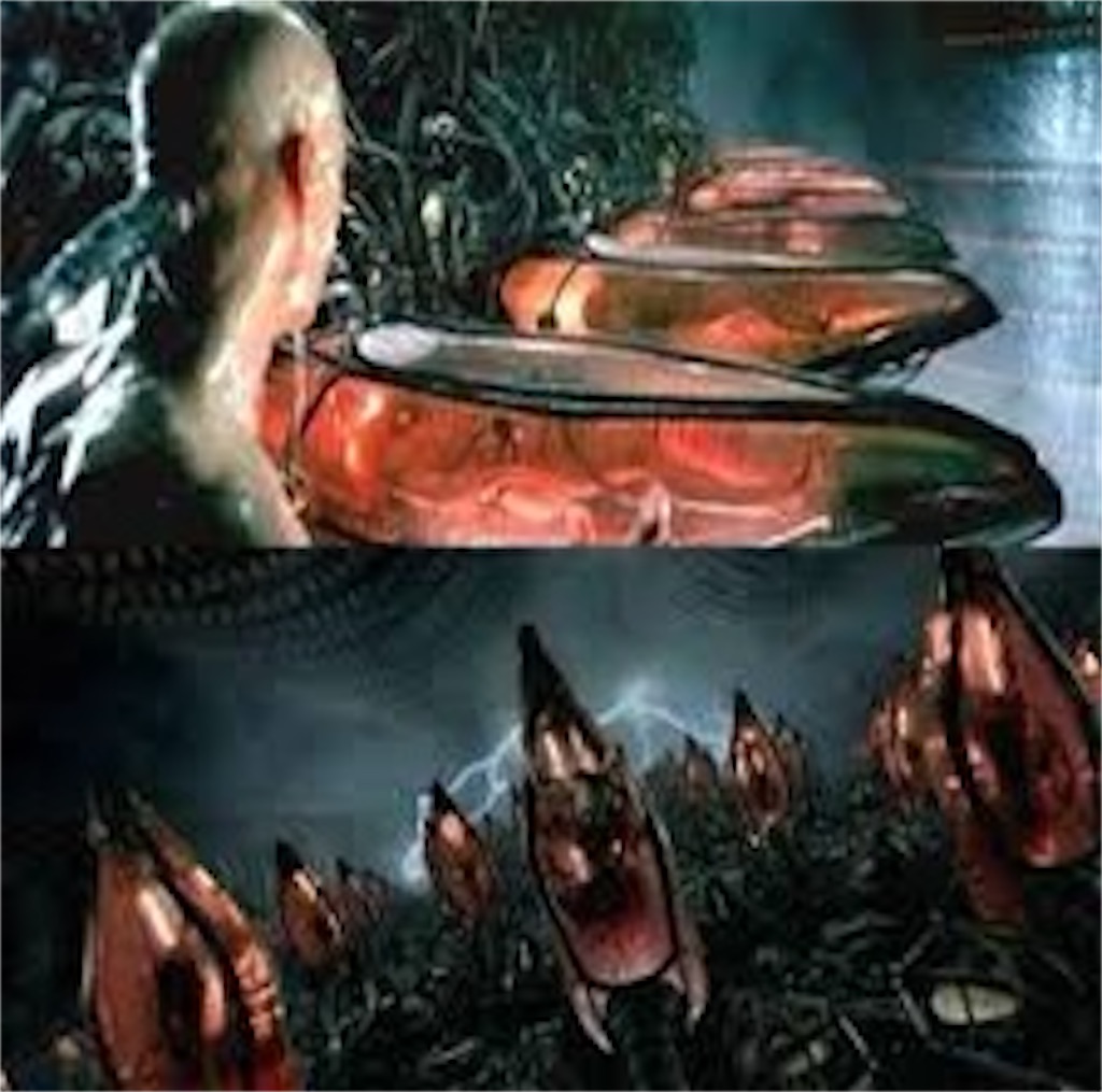 f:id:Euvicc:20211029121437j:plain