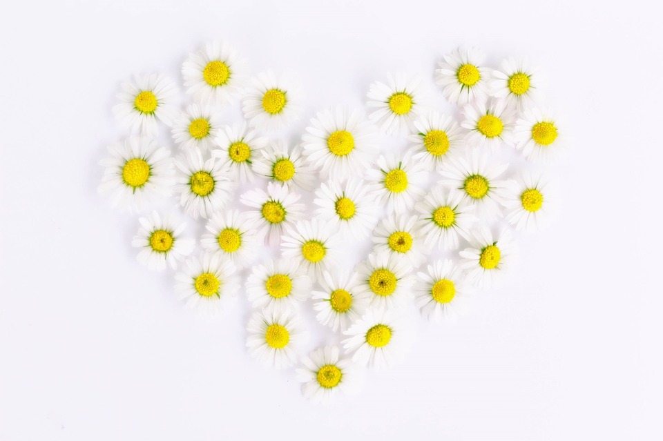 f:id:Everestbiu:20181217190141j:plain f:id:Everestbiu:20181217190141j:plain