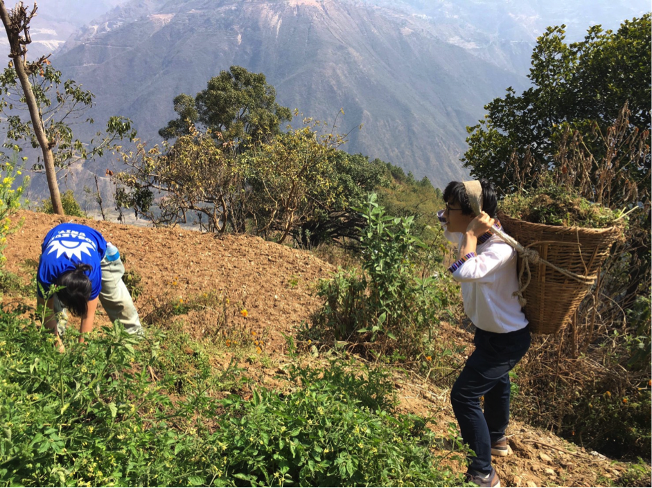 f:id:Everestbiu:20190317221101p:plain f:id:Everestbiu:20190317221101p:plain