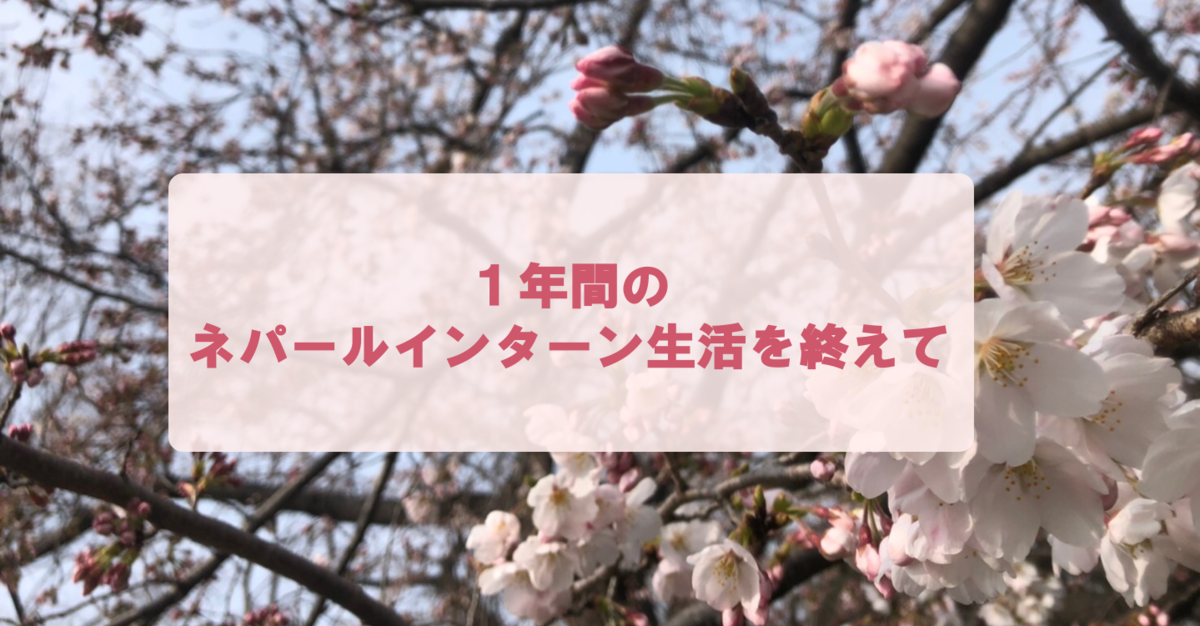 f:id:Everestbiu:20190401124027p:plain f:id:Everestbiu:20190401124027p:plain