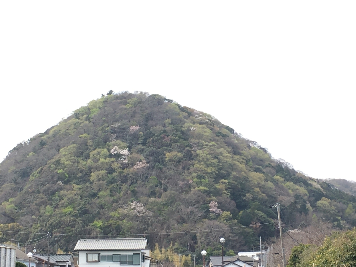 f:id:Everlasting_Journey:20200323230015j:plain