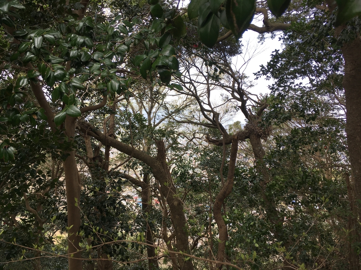 f:id:Everlasting_Journey:20200323231002j:plain