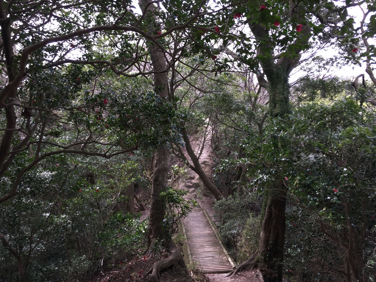 f:id:Everlasting_Journey:20200323231028j:plain