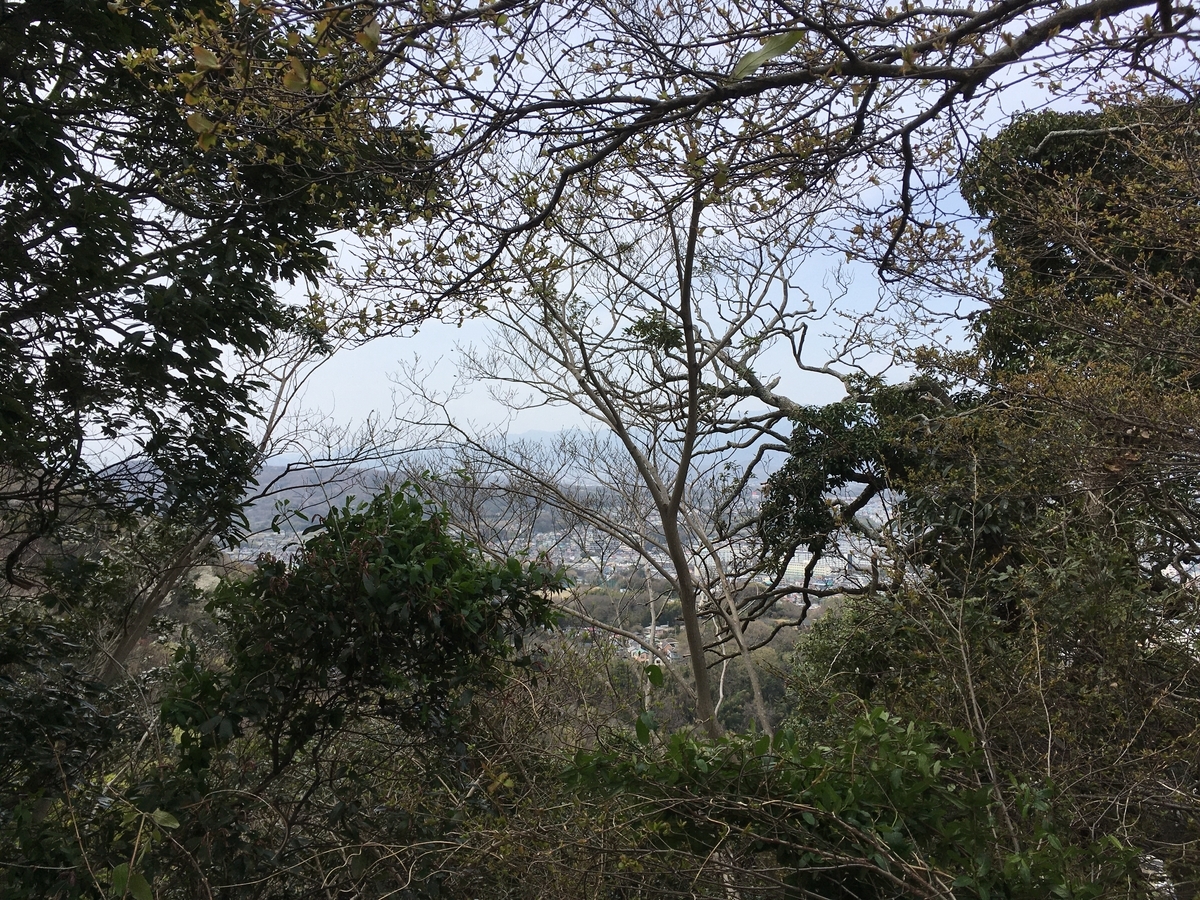 f:id:Everlasting_Journey:20200323231052j:plain