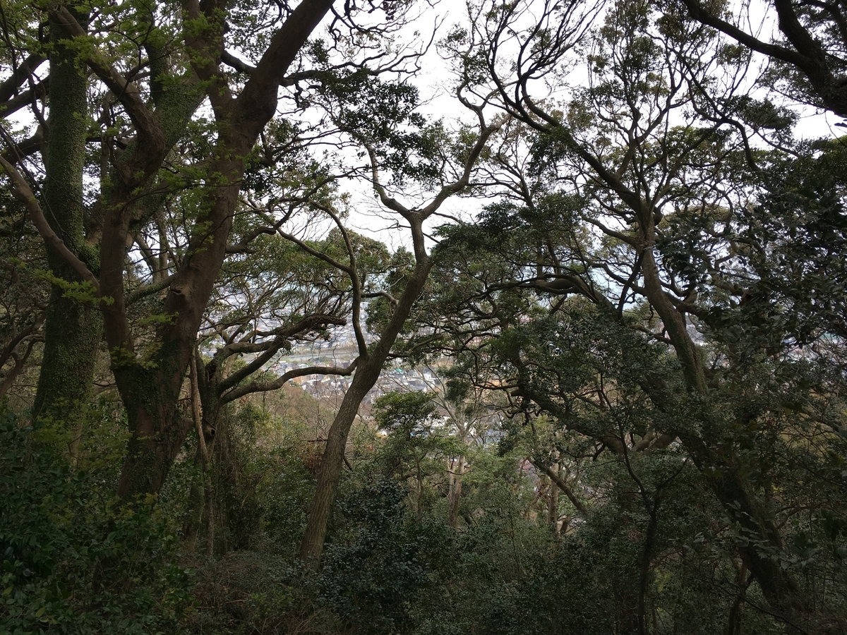 f:id:Everlasting_Journey:20200323231142j:plain