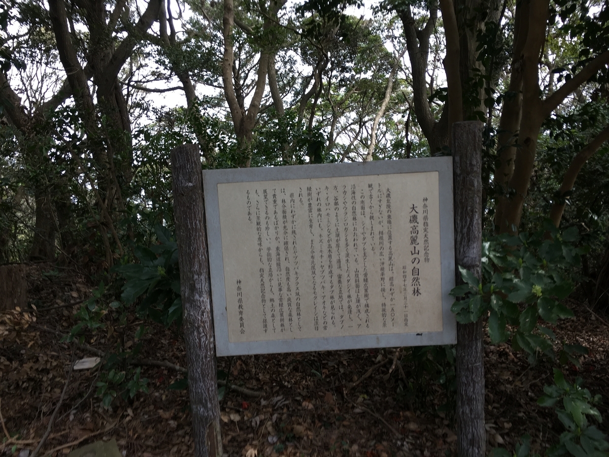 f:id:Everlasting_Journey:20200323231230j:plain