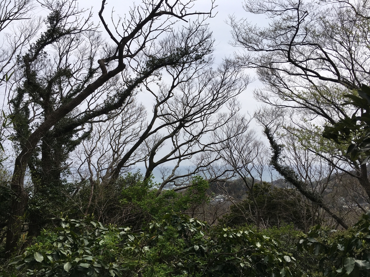 f:id:Everlasting_Journey:20200323231354j:plain