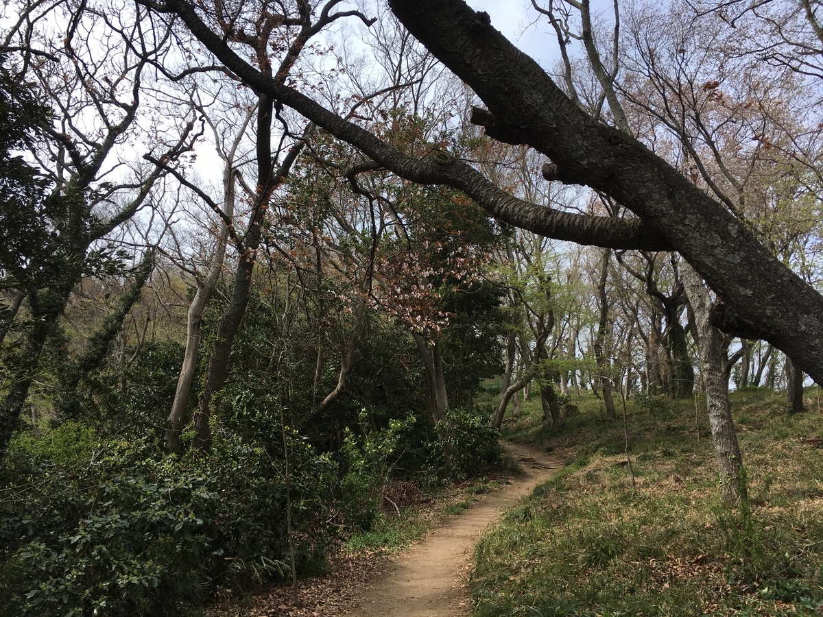 f:id:Everlasting_Journey:20200323231459j:plain