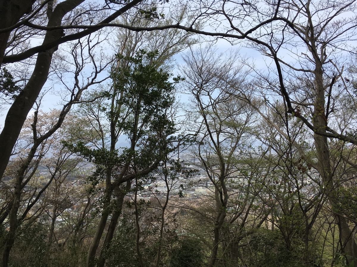 f:id:Everlasting_Journey:20200323231650j:plain