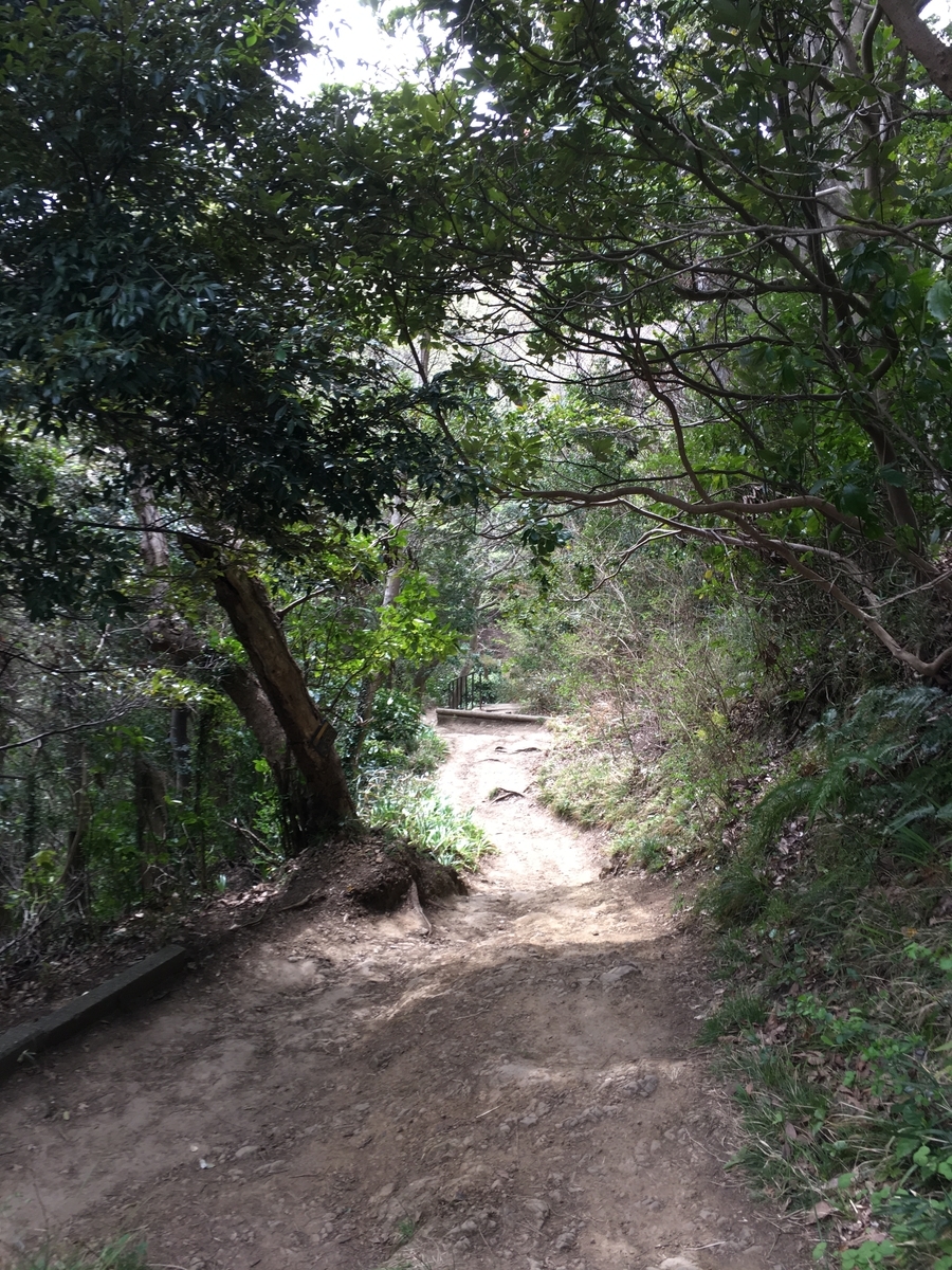 f:id:Everlasting_Journey:20200323231746j:plain