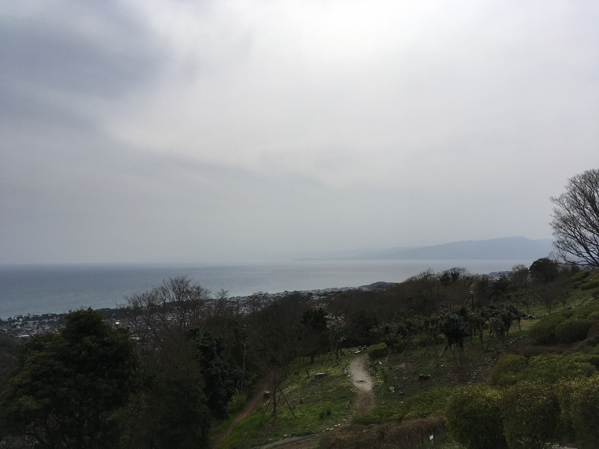 f:id:Everlasting_Journey:20200323231910j:plain