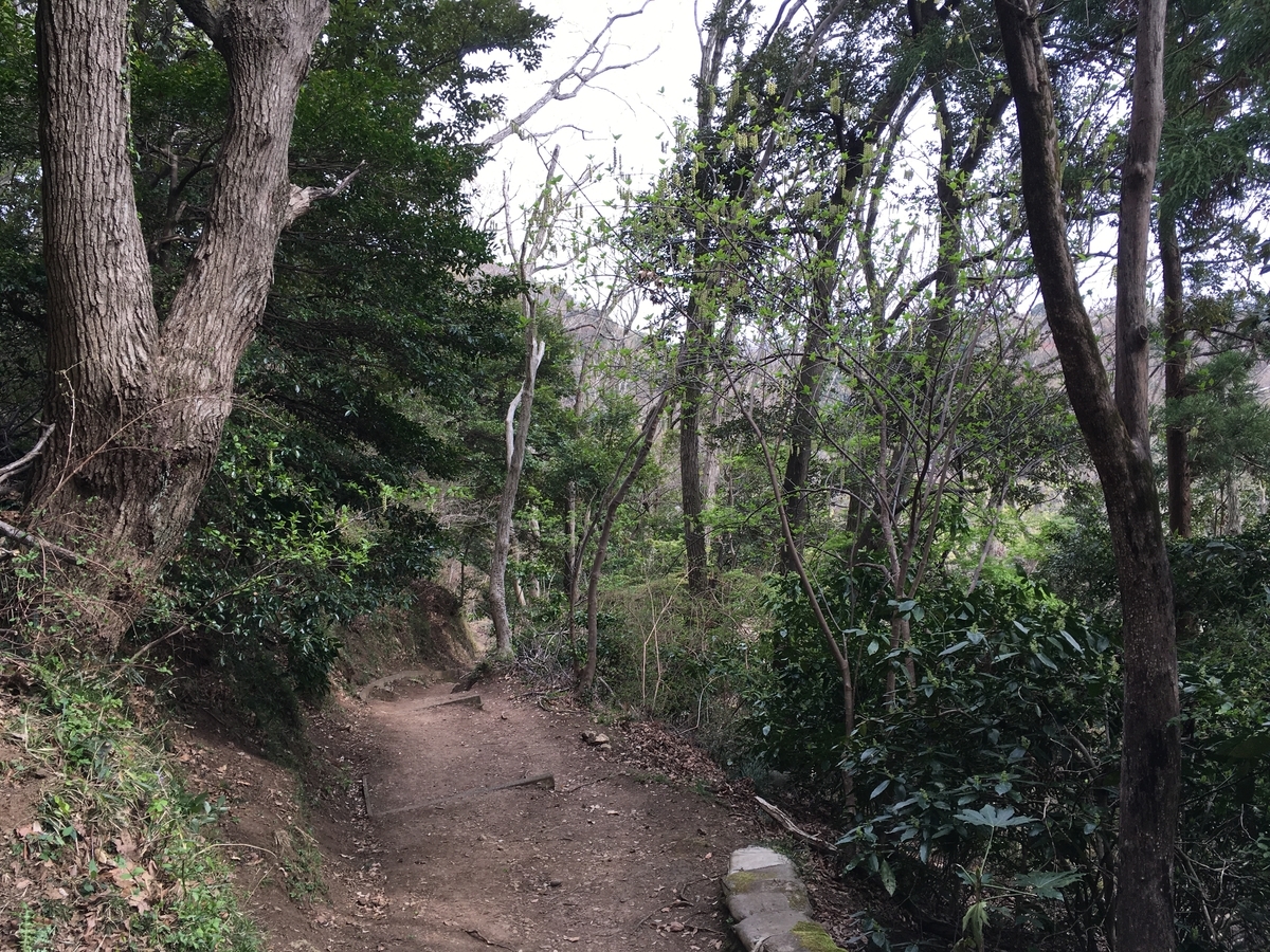 f:id:Everlasting_Journey:20200323232311j:plain