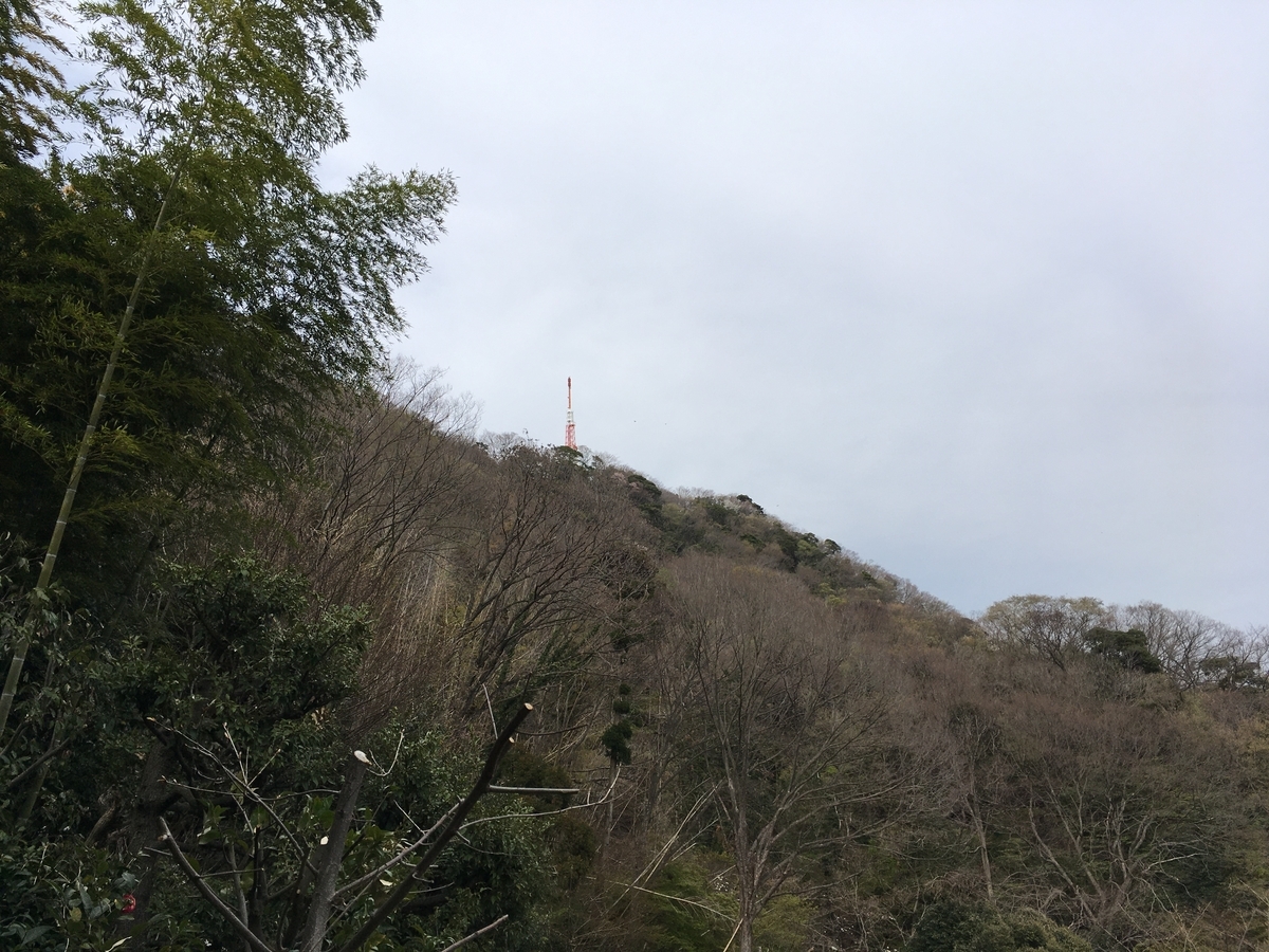 f:id:Everlasting_Journey:20200323232335j:plain
