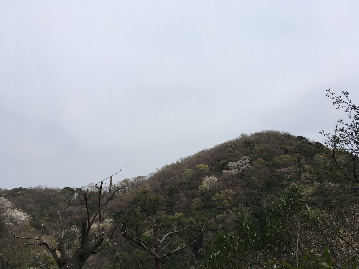 f:id:Everlasting_Journey:20200323232358j:plain
