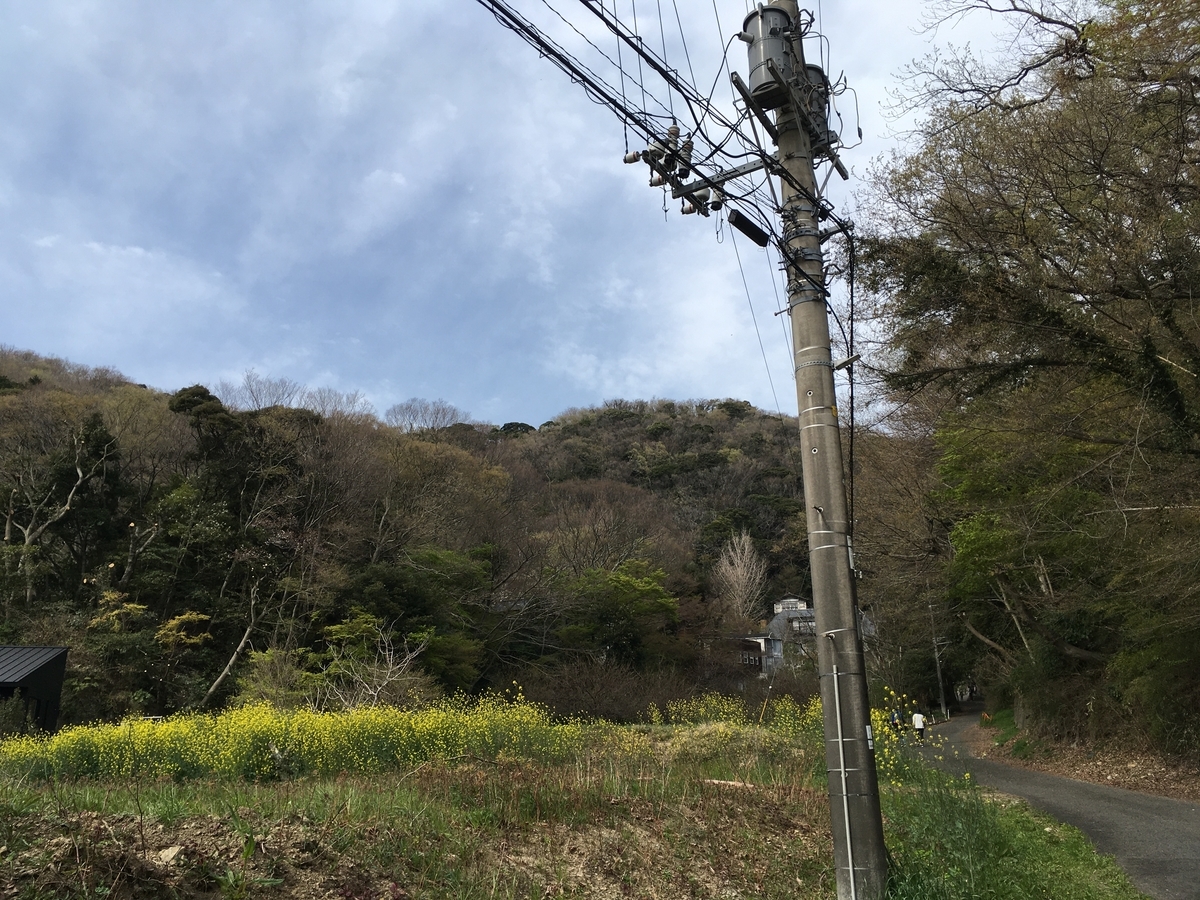 f:id:Everlasting_Journey:20200323232418j:plain