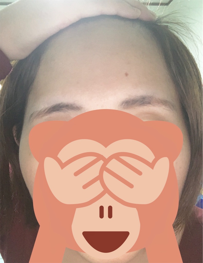 f:id:Ewan31:20190129105818j:image