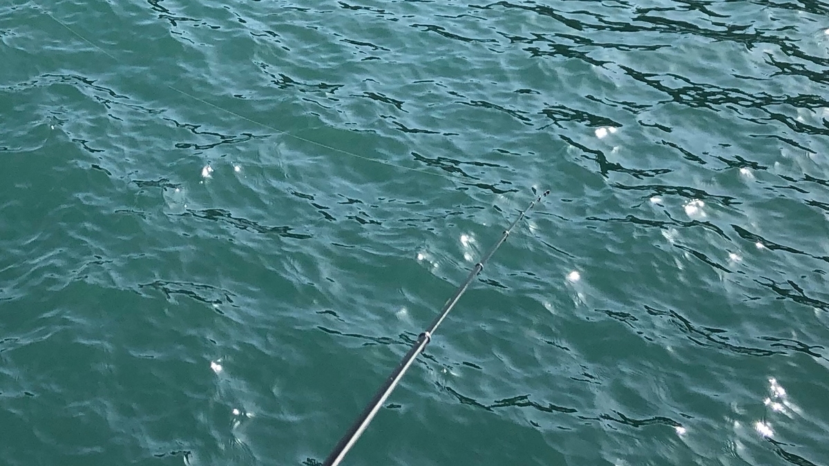 f:id:ExcellentCuber:20210106155232j:plain