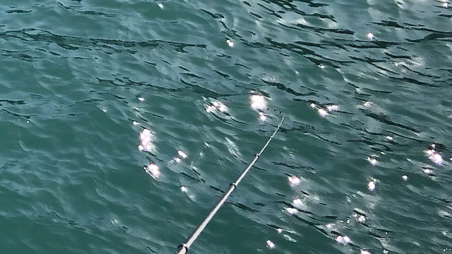 f:id:ExcellentCuber:20210106155315j:plain