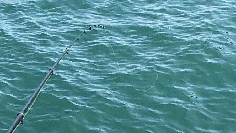 f:id:ExcellentCuber:20210106161304j:plain