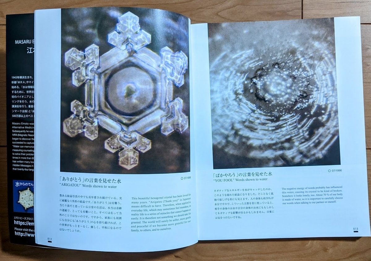 水からの伝言/ Messages from water - Art Japan−Seeker after