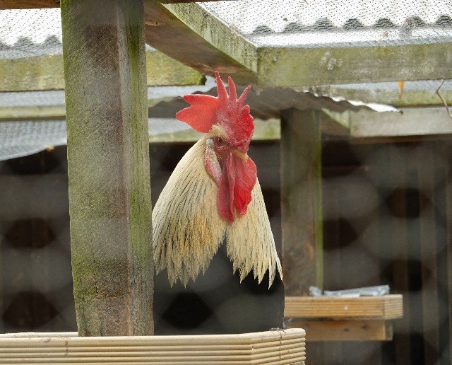 f:id:Eztabi:20200216194007j:plain