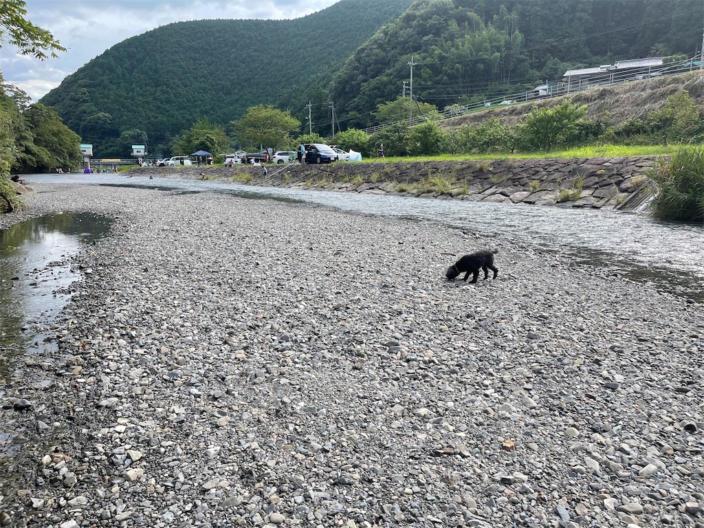 f:id:F-Garage:20210722235636j:plain