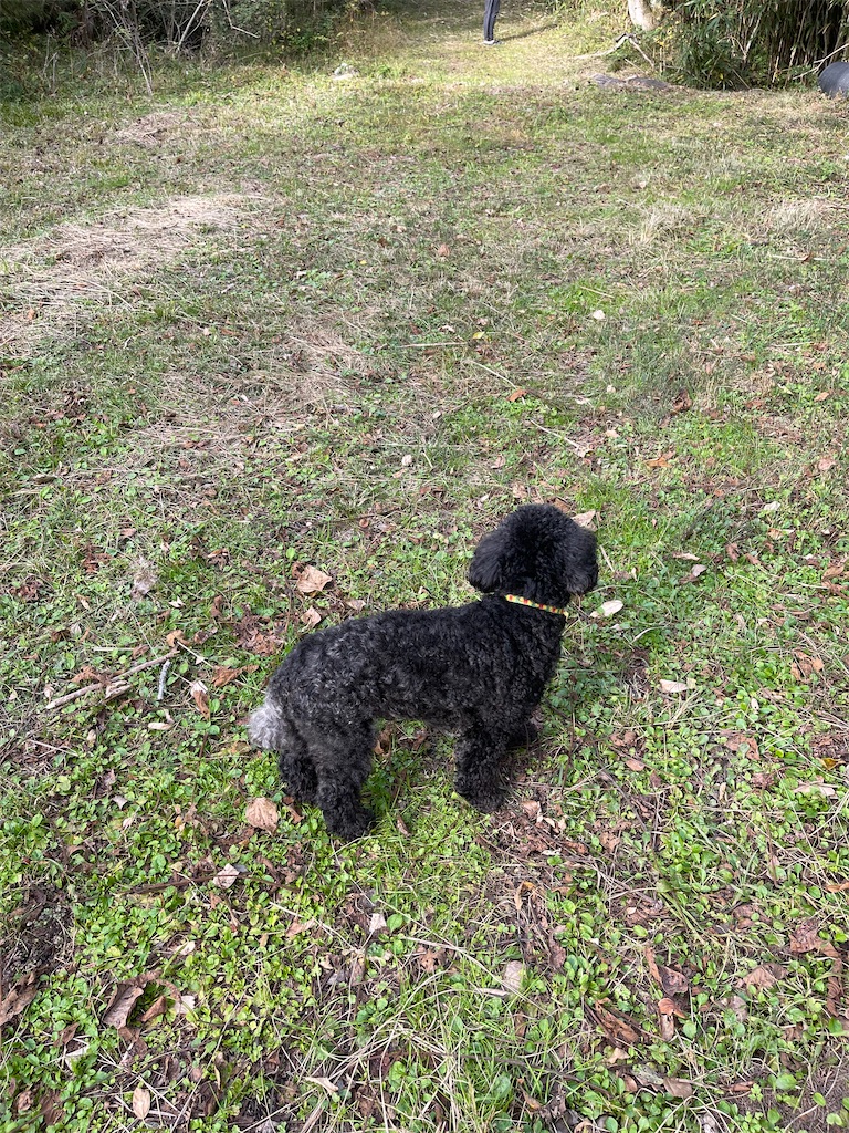 f:id:F-Garage:20211123143353j:image