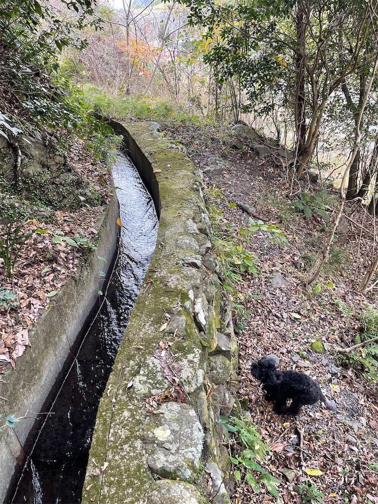 f:id:F-Garage:20211123143356j:image