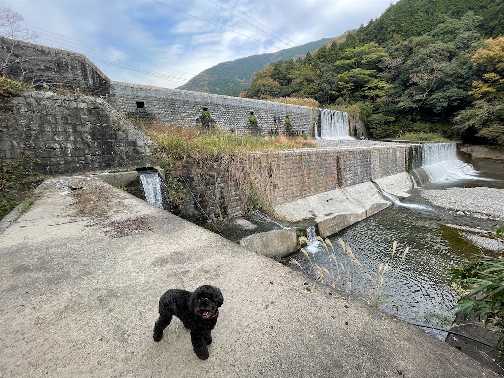 f:id:F-Garage:20211123143409j:image