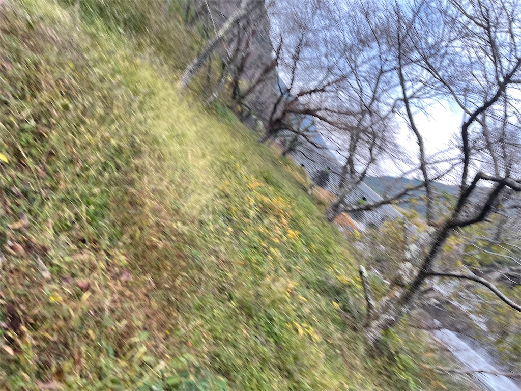 f:id:F-Garage:20211123143412j:image