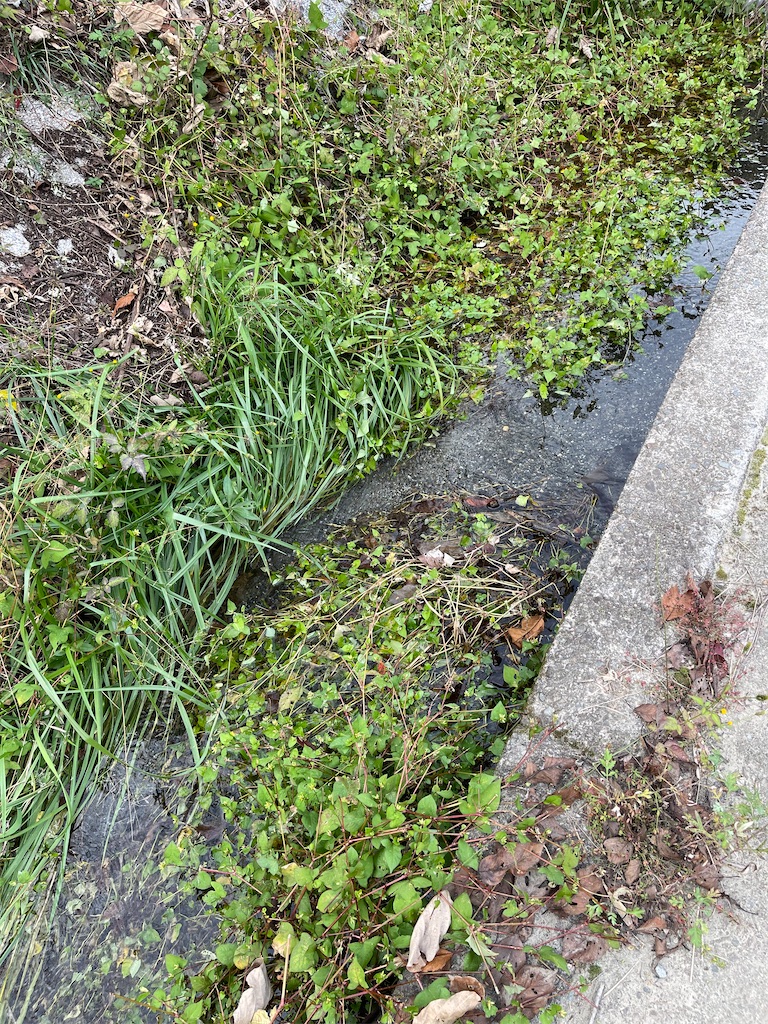 f:id:F-Garage:20211123143417j:image