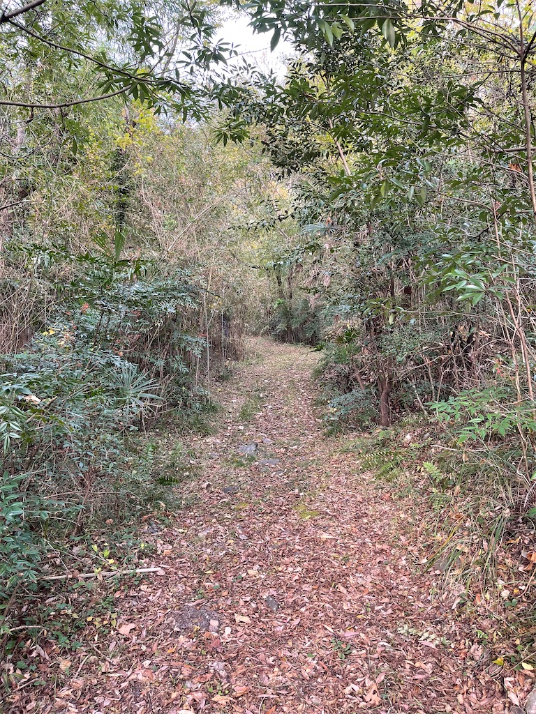 f:id:F-Garage:20211123143420j:image