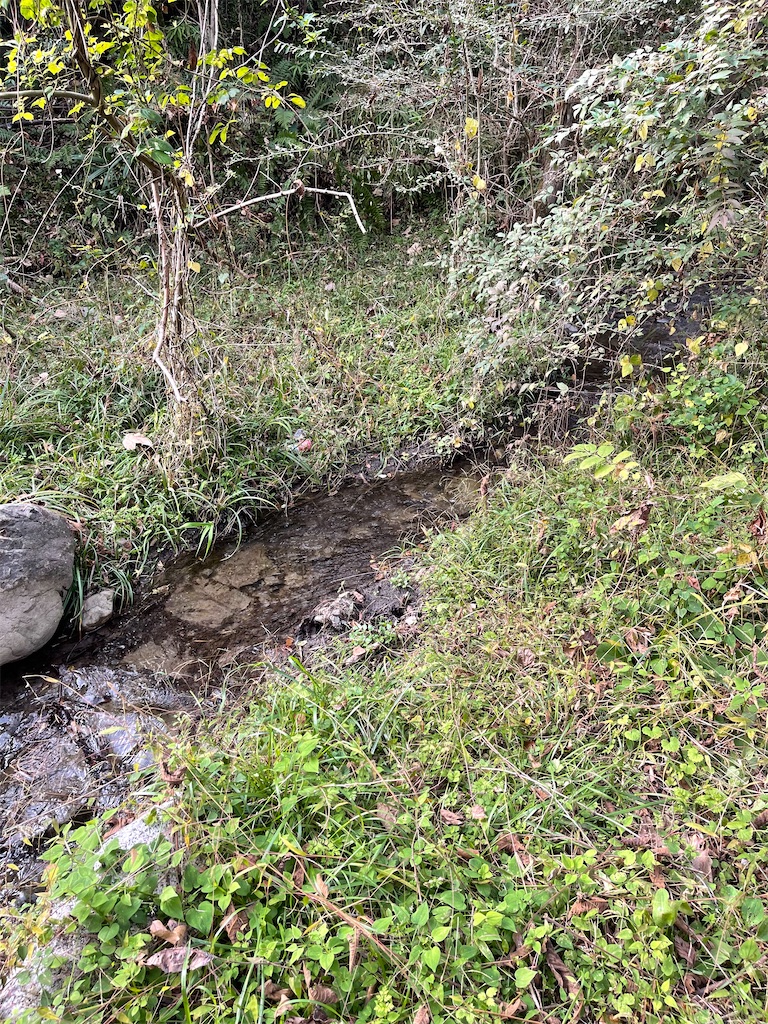 f:id:F-Garage:20211123143422j:image