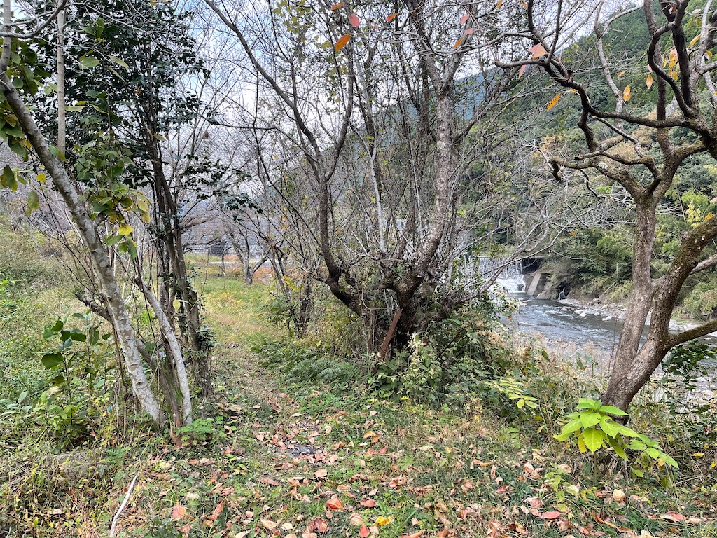 f:id:F-Garage:20211123143434j:image