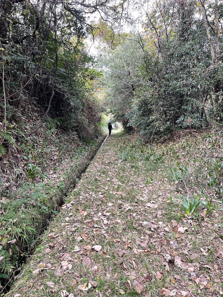 f:id:F-Garage:20211123143436j:plain