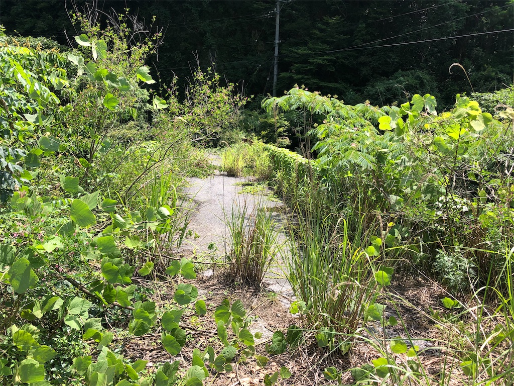 f:id:F-Garage:20220313141849j:image