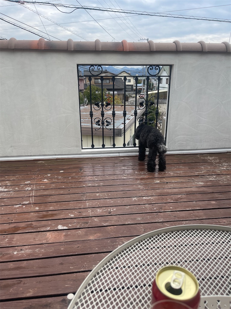 f:id:F-Garage:20220321164140j:image