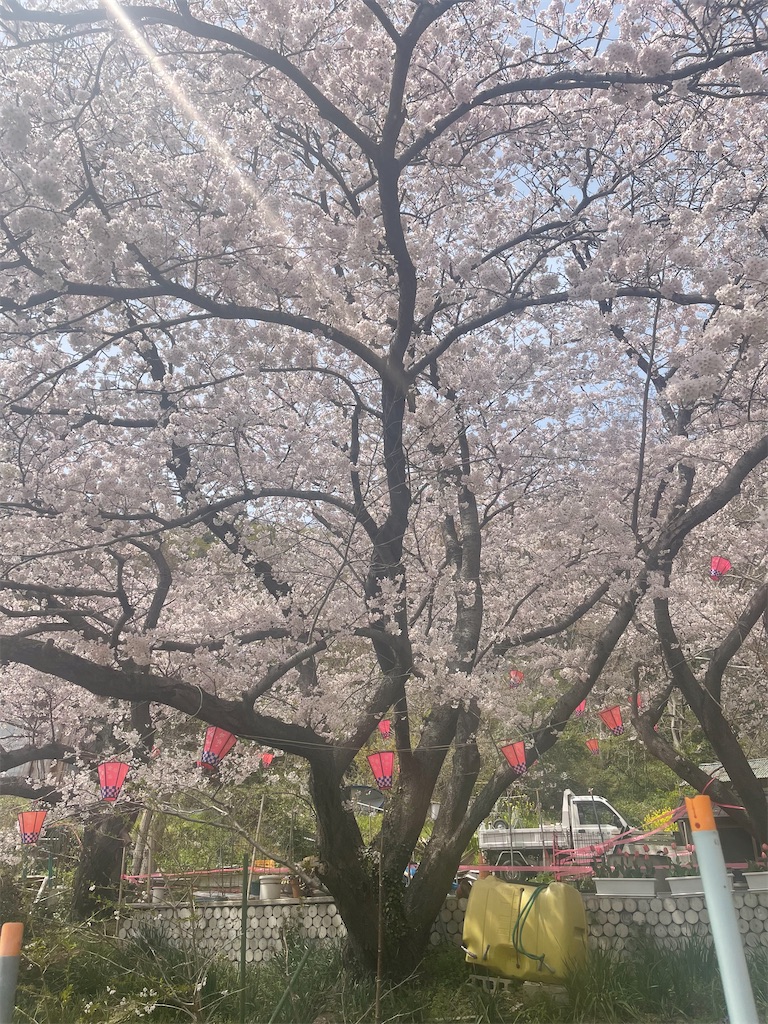 f:id:F-Garage:20220403094827j:image