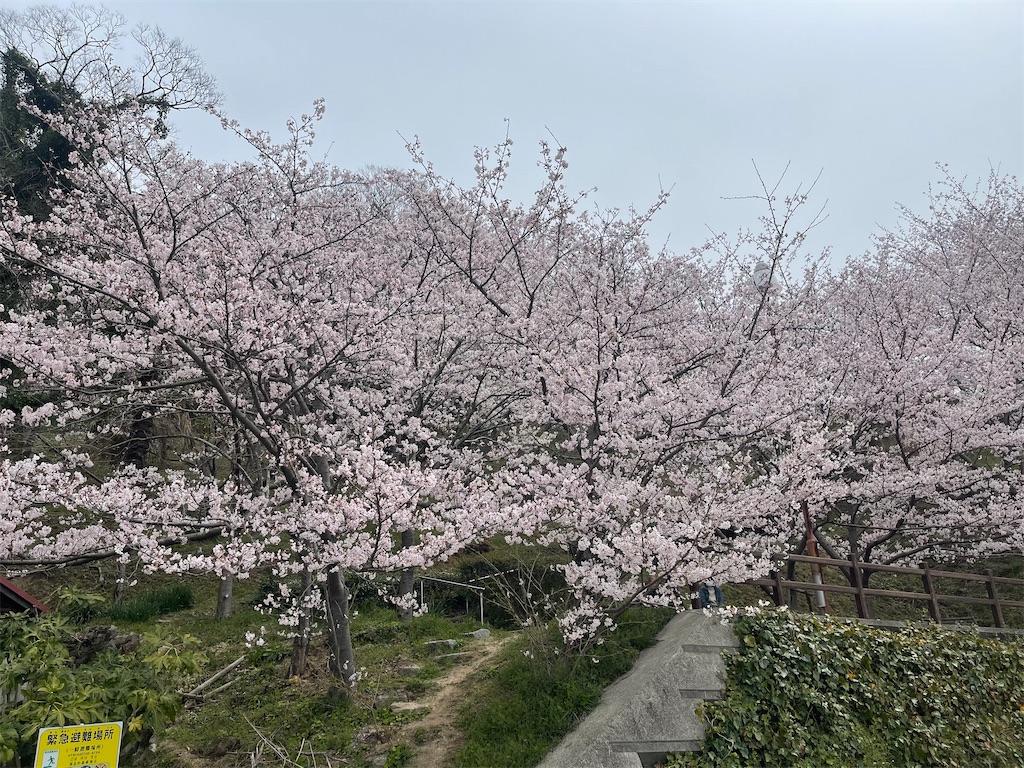 f:id:F-Garage:20220403094842j:image